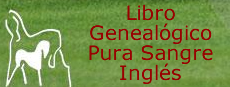 Pura Sangre Ingl&eacute;s